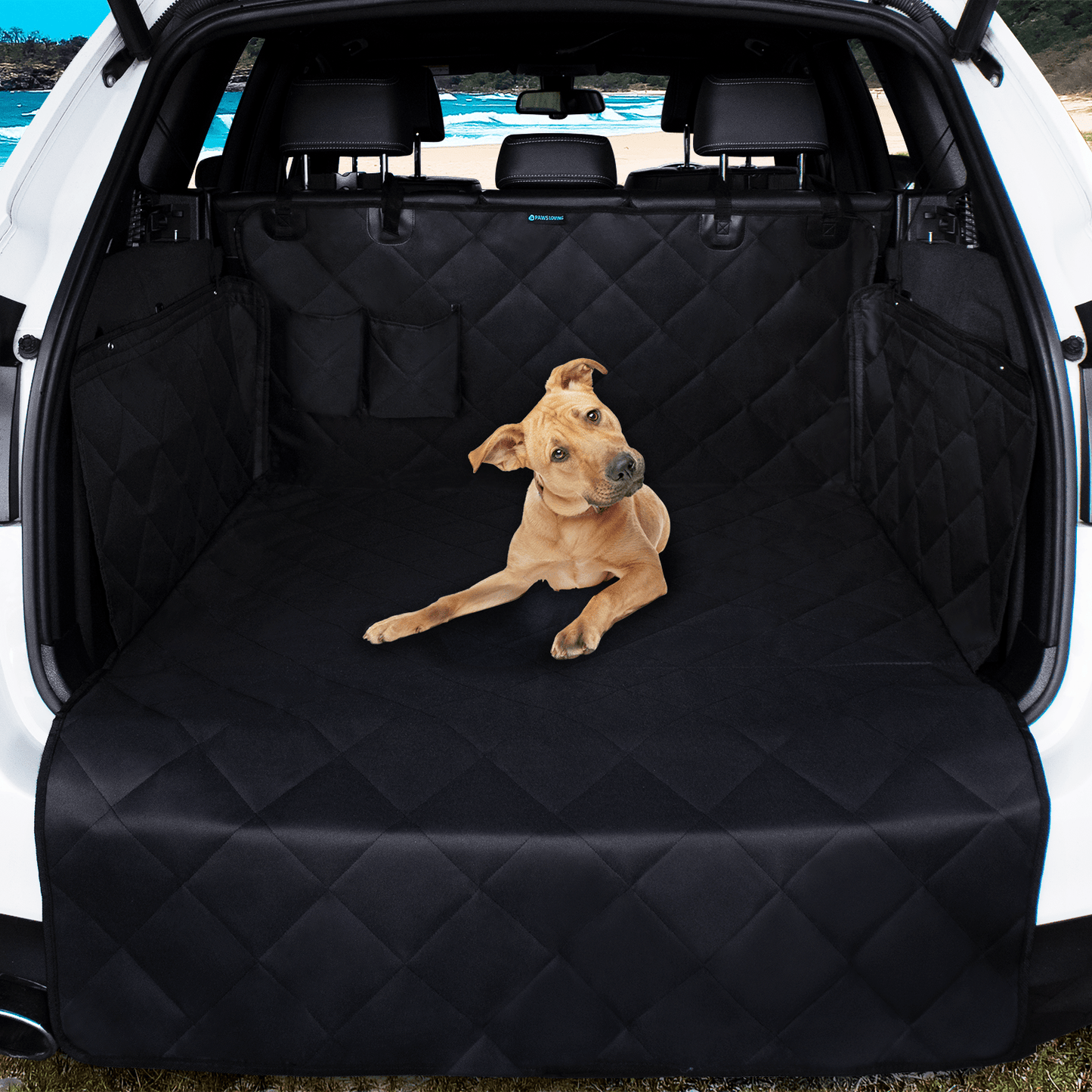 Dog lying on a black car mat in the back of a vehicle with a scenic background.