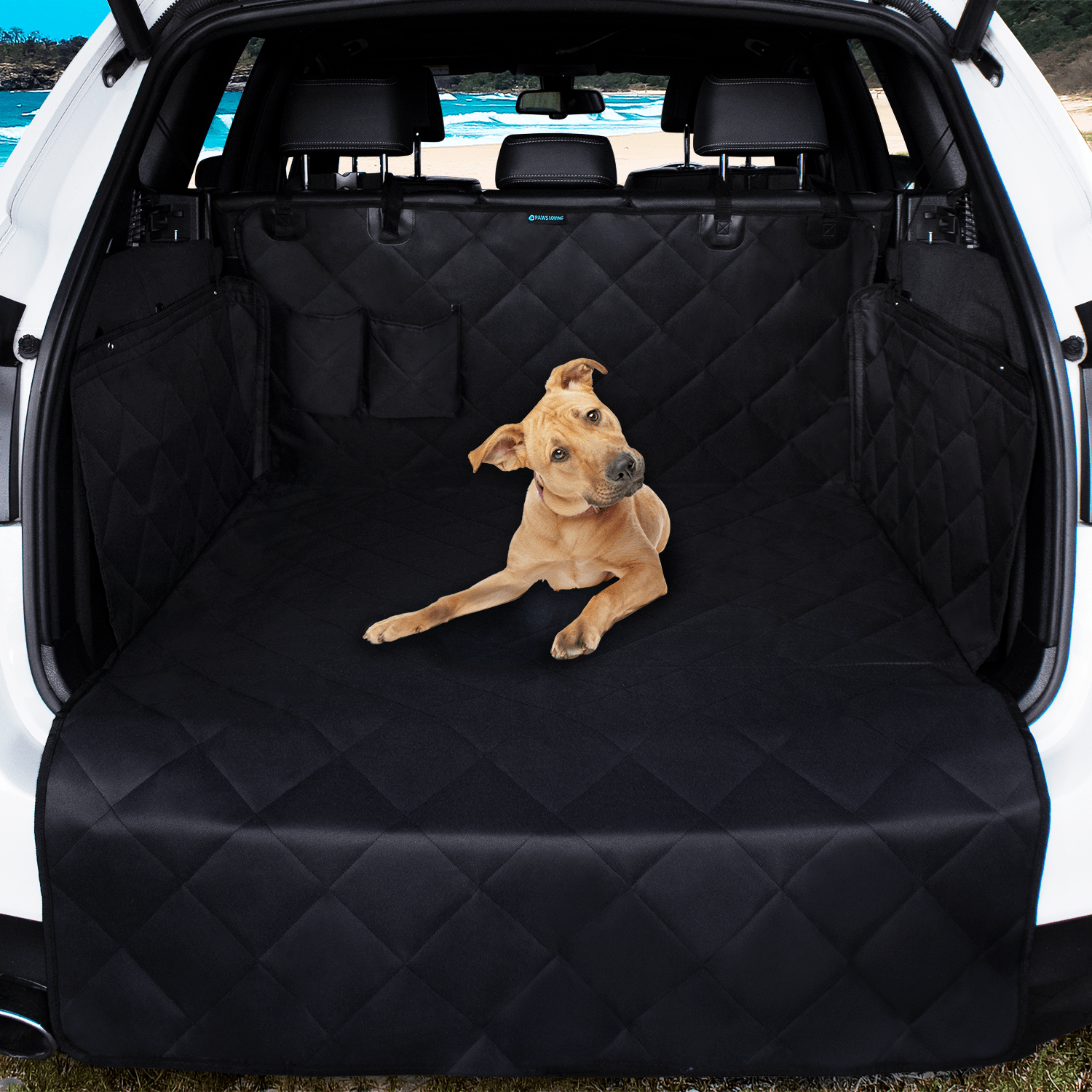 Dog lying on a black car mat in the back of a vehicle with a scenic background.