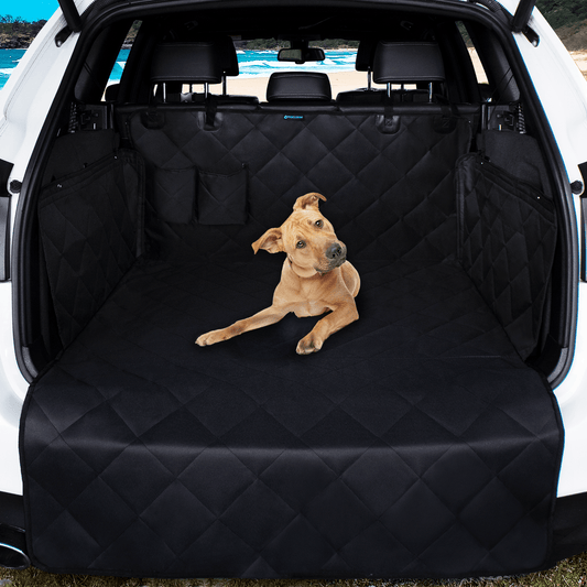 Dog lying on a black car mat in the back of a vehicle with a scenic background.